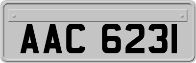 AAC6231