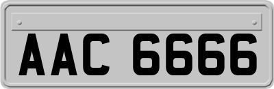 AAC6666