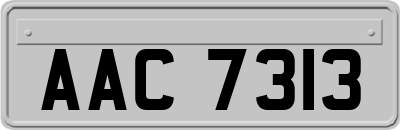 AAC7313