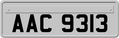 AAC9313