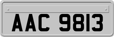 AAC9813