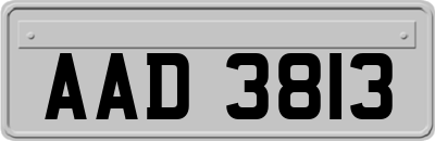 AAD3813