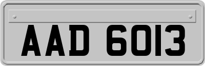 AAD6013