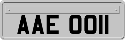 AAE0011