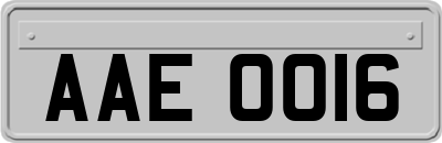 AAE0016