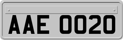 AAE0020