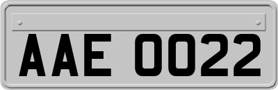 AAE0022