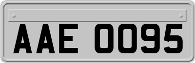 AAE0095