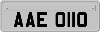 AAE0110