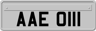 AAE0111