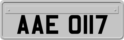 AAE0117