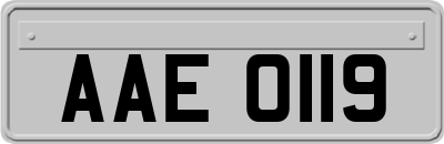 AAE0119