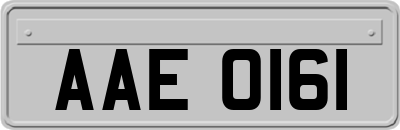 AAE0161