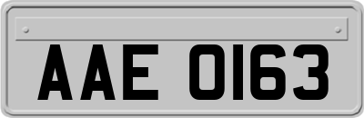 AAE0163