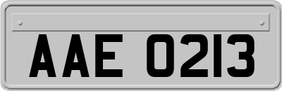 AAE0213