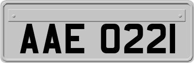 AAE0221