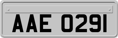 AAE0291