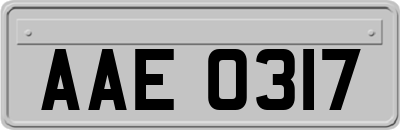 AAE0317