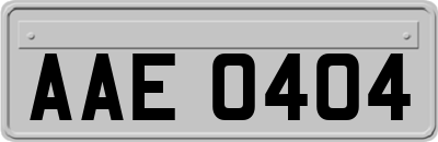 AAE0404