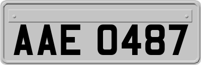 AAE0487