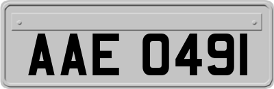 AAE0491