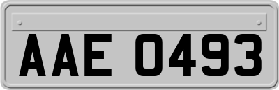 AAE0493