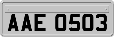 AAE0503