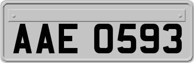 AAE0593