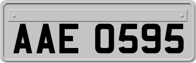 AAE0595