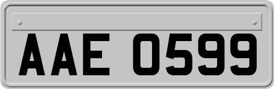 AAE0599