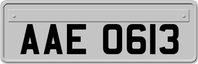 AAE0613