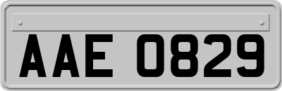 AAE0829