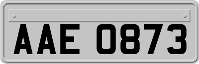 AAE0873