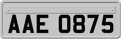 AAE0875