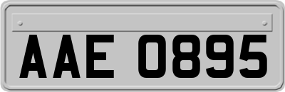 AAE0895