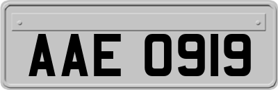 AAE0919