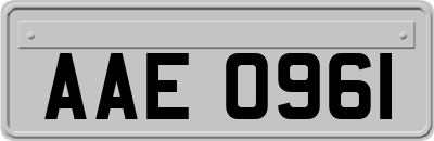 AAE0961