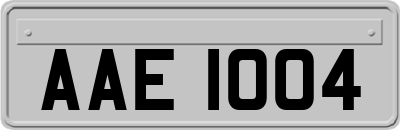 AAE1004