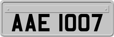 AAE1007