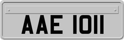 AAE1011