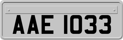 AAE1033