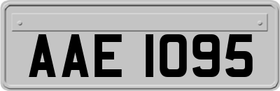 AAE1095