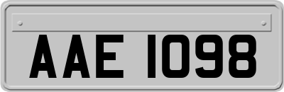 AAE1098