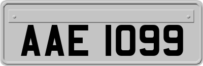 AAE1099