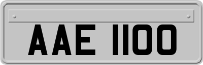 AAE1100