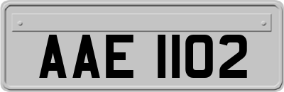 AAE1102