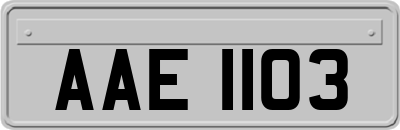 AAE1103