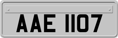 AAE1107