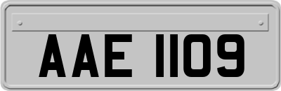 AAE1109