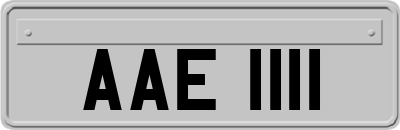 AAE1111